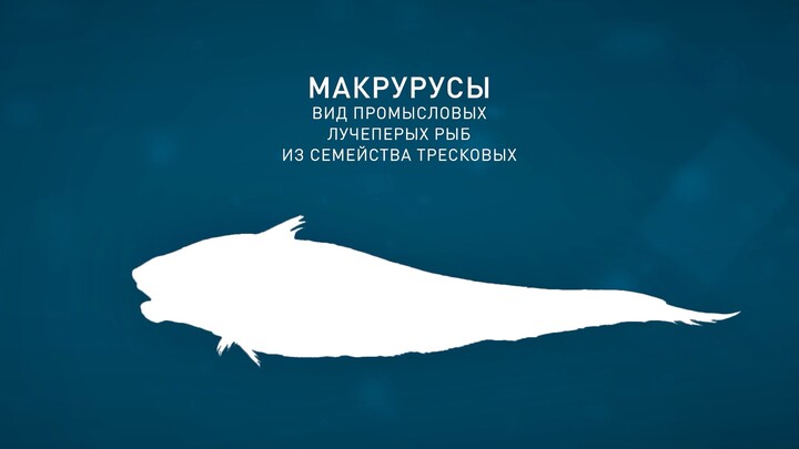 Vostok 1 fishing Company