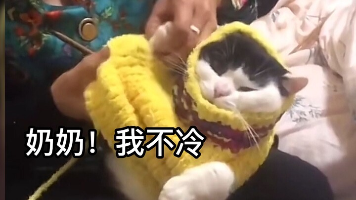 “来自爷爷奶奶的爱！”
