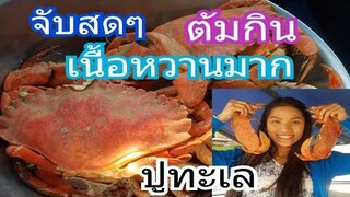 ต้มปูสดๆกินบนเรือ เนื้อหวานมาก/ชีวิตในอเมริกา/เที่ยวซีแอตเติ้ล/c.k.taylor