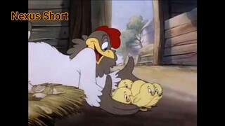 Tom & Jerry (Ep 8.2) Fine Feathered Friend (phần 2) #TomandJerry