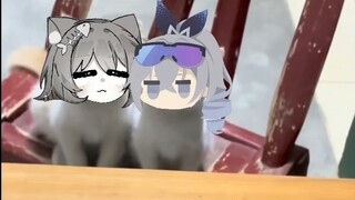 【星铁猫片】哎，开拓者，梅狸猫是什么猫？