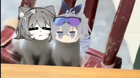 【星铁猫片】哎，开拓者，梅狸猫是什么猫？