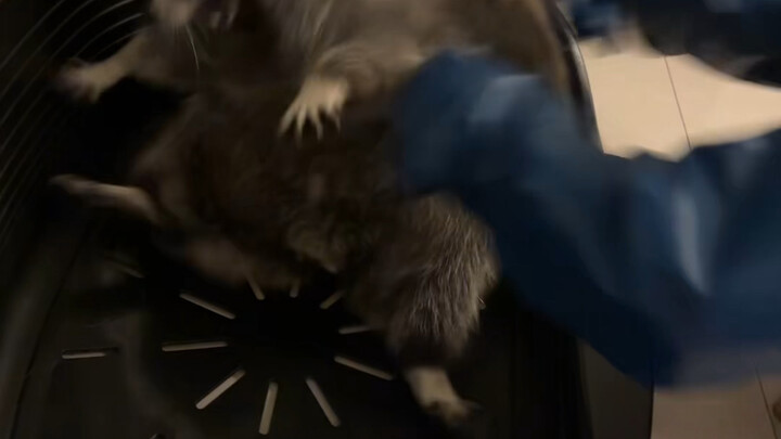 Why is Xiaoxiao blind today?