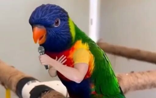 So this is why birds can’t grow hands!