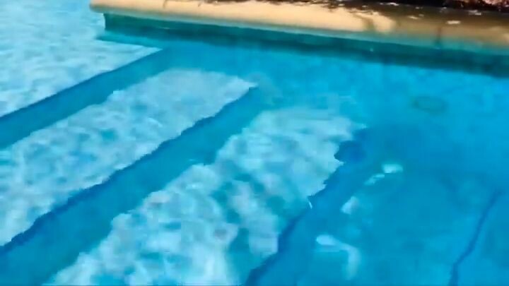 Dubai Palm jumeirah Call Girls 0524076003 Call Girls Service in Palm jumeirah Dubai