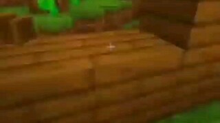 minecraft🤨