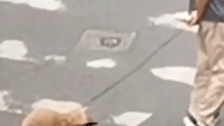 你走你衣禄啊！？！