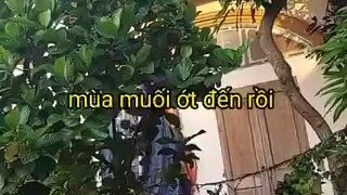 Cháu hỏi có bán xoài hay không thôi mà :")