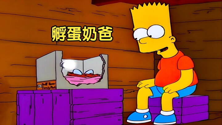 [Nannan] This bird egg is not a bird egg. Bart incubates it diligently and is told that it is danger