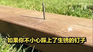 看完这个视频我感觉要长脑子了...