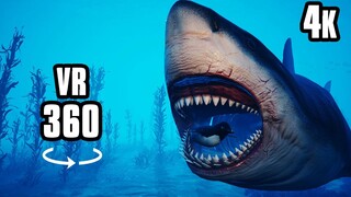 360° VR Deep Dive 4K | The Megalodon Shark