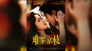 《难攀京枝》Difficult to Climb the Beijing Branch | Zhao ZhenDong & Zhang JinYi