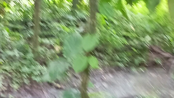 dx