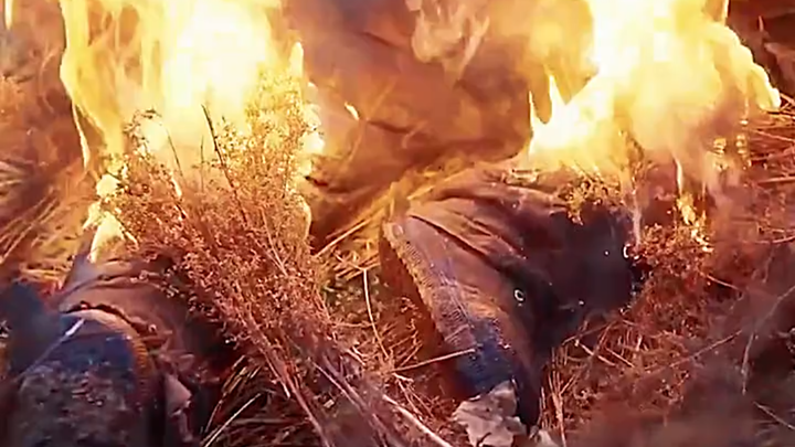 Qiu Shaoyun, sosok pahlawan dalam buku pelajaran SD...