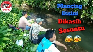 Mancing di Bawah Rumpun Bambu Dapat Sesuatu Tak Terduga