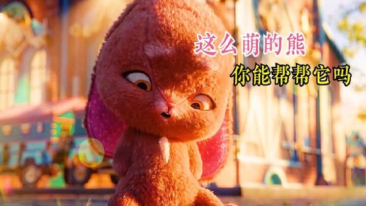 Kelinci kecil yang lucu itu "terluka", siapa yang bisa membantunya?