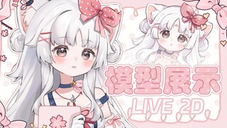【Live2D量贩模型】❤ 小偶像登场！❤ 来成为真正的偶像吧！❤