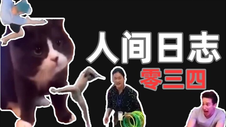 บันทึกการสังเกตมนุษย์ 034