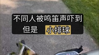 不同类型的人被鸣笛声吓到，但是小排球