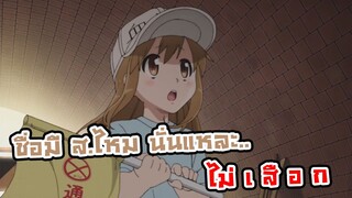 Hataraku Saibou| อนิเมะพากย์นรก#86