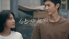 终于要播了!【梁洁陈哲远】《白色橄榄树》首发预告