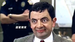 Mr. Bean's Vacation