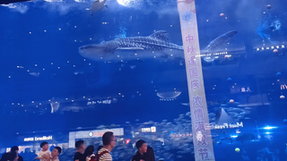 成都浩海立方，人太多，下次再来！