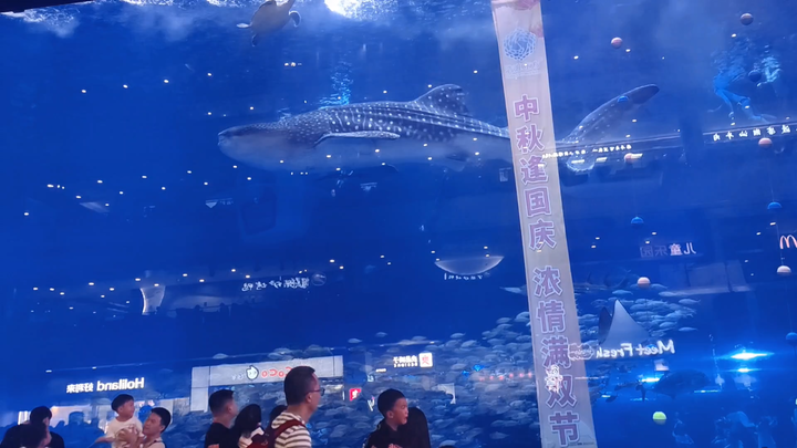 تشنغدو هاوهاي لي فانغ، الناس كثيرون جدًا، سأعود في المرة القادمة!