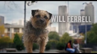 Strays watch full movie :link in descreption