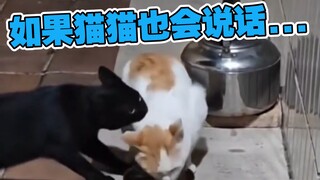 你快住嘴啊！！😭