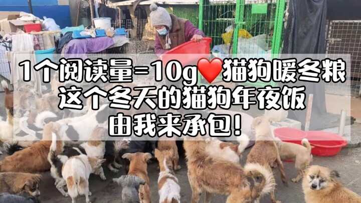 1个阅读量=10g暖冬粮，免费请流浪猫孩子吃一顿饱饭！