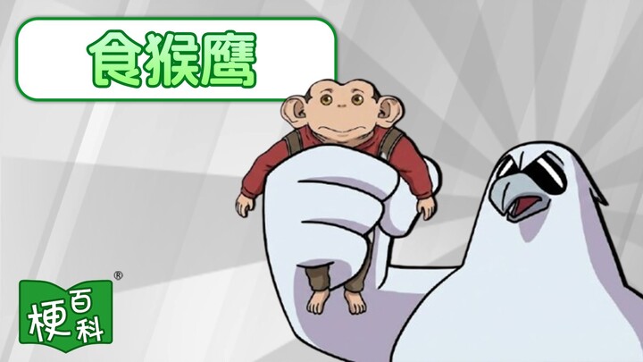 [Bách khoa Memes] Vì sao “Chim Ưng Ăn Khỉ” lại nổi tiếng? Sự kiện Darwin rốt cuộc là gì?!