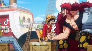 Luffy paling sial 😵