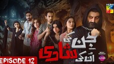 Jin ki Shadhi Unki Shadhi Wahaj Ali and Seher Khan Episode 12