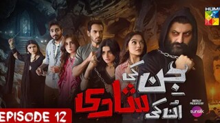 Jin ki Shadhi Unki Shadhi Wahaj Ali and Seher Khan Episode 12