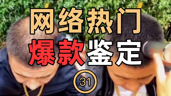 网络热门爆款鉴定31
