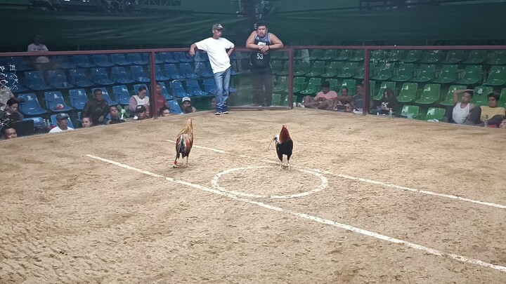 jdc champ fight no 2