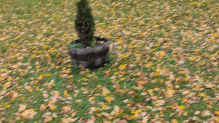 Winnipeg Rainshower - 10/22/2026 & 10/23/2026.