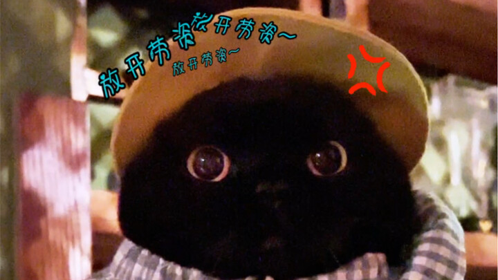 Bagaimana mungkin biji-bijian kasar dari daerah utara kita bisa menghasilkan "dedak halus" sepertimu