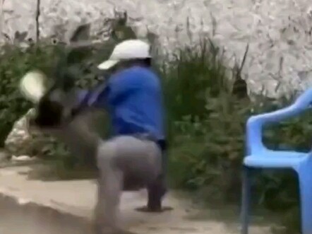 ล้วนเป็นนักเต้นโดยธรรมชาติ