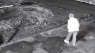 I still hope you’ll pay more attention to them. #ElderlyLivingAlone #SongAma #Companionship