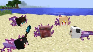 When all players have "super degenerated" and become axolotls! !