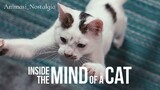 Inside the Mind of a Cat (2022) Malay Sub
