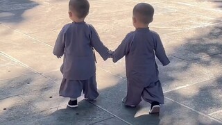 Is it okay to let these confused little monks go down the mountain by themselves?