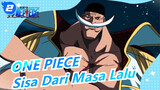 ONE PIECE | Sisa-sisa Dari Masa Lalu_2