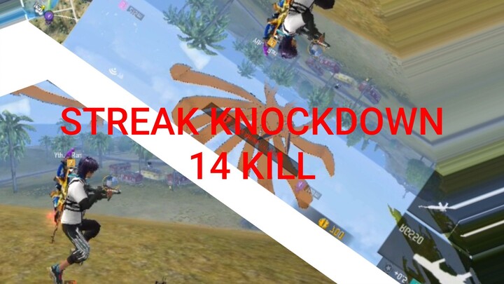 14 KILL BR? BANTAI
