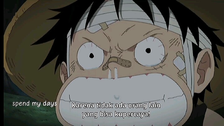 kaka angkat terbaik Luffy:)