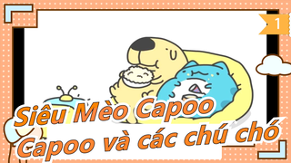 [Siêu Mèo Capoo] Tổng hợp Capoo và các chú chó (1)_1