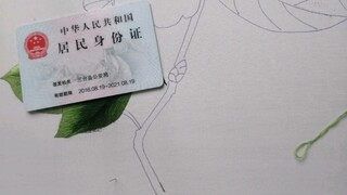 【การปักชู】การฝึกฝนประจำวันด้วยดอกโบตั๋น (2)