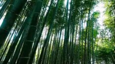 Soju Rhapsody ep 2 (Indosub)